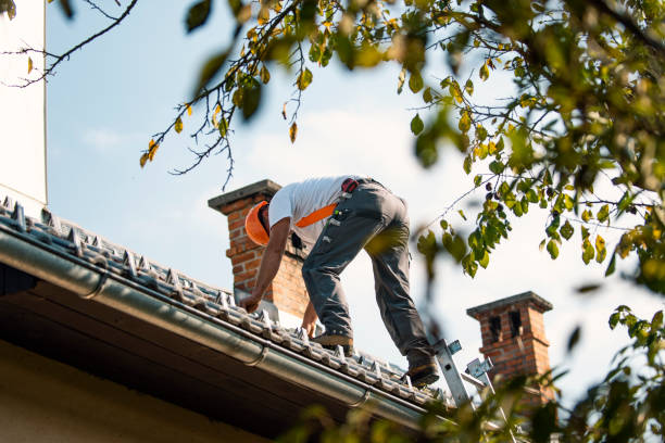 Roof Gutter Cleaning in Pine Grove, CA