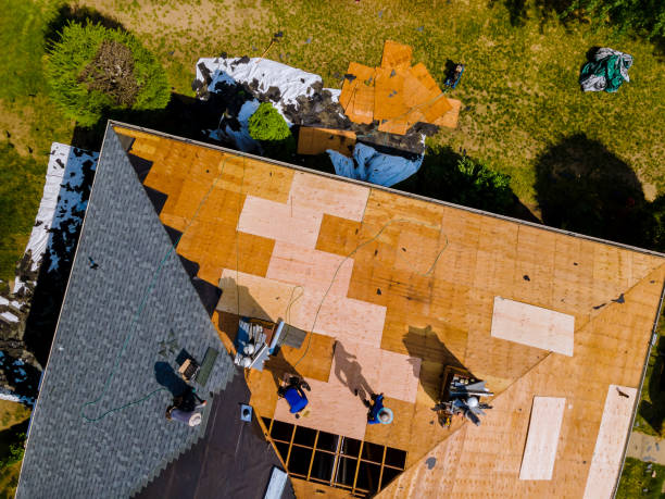 Best Storm Damage Roof Repair  in Pine Grove, CA