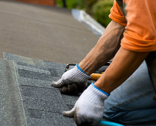 Roof Gutter Cleaning in Pine Grove, CA
